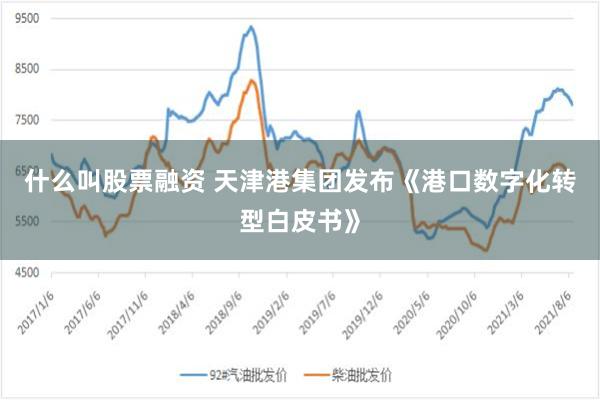 什么叫股票融资 天津港集团发布《港口数字化转型白皮书》