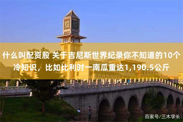 什么叫配资股 关于吉尼斯世界纪录你不知道的10个冷知识，比如比利时一南瓜重达1,190.5公斤