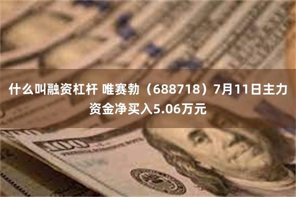 什么叫融资杠杆 唯赛勃（688718）7月11日主力资金净买入5.06万元