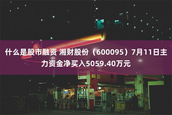 什么是股市融资 湘财股份（600095）7月11日主力资金净买入5059.40万元