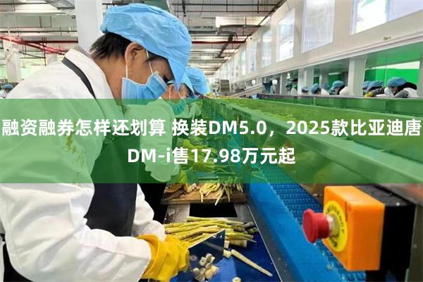 融资融券怎样还划算 换装DM5.0，2025款比亚迪唐DM-i售17.98万元起