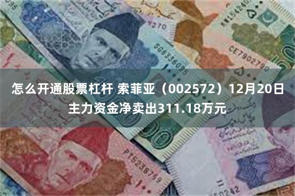 怎么开通股票杠杆 索菲亚（002572）12月20日主力资金净卖出311.18万元