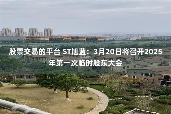 股票交易的平台 ST旭蓝：3月20日将召开2025年第一次临时股东大会