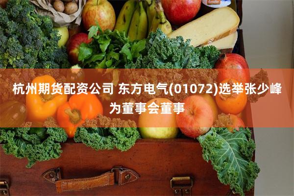 杭州期货配资公司 东方电气(01072)选举张少峰为董事会董事