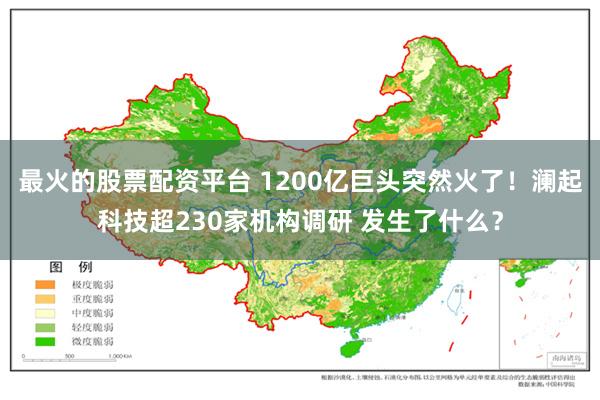 最火的股票配资平台 1200亿巨头突然火了！澜起科技超230家机构调研 发生了什么？